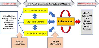 Prioritized Research for the Prevention, Treatment, and Reversal of Chronic Disease: Recommendations From the Lifestyle Medicine Research Summit